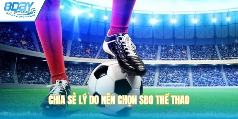 Chia sẻ lý do vì sao nên chọn SBO thể thao