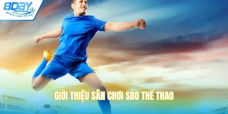 Tổng quan về SBO thể thao